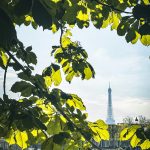 Municipales 2026 : faisons des entreprises les alliées d’une écologie de progrès